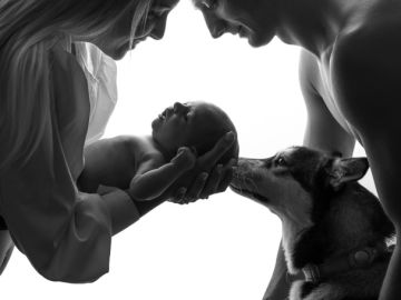 Un shooting Naissance avec cette famille du bonheur au complet, sans oublier la grande sœur poilue qui a entièrement sa place dans cette petite tribu,...