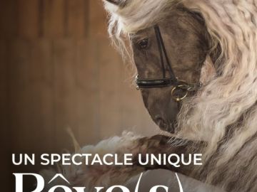 ✨ Coucou tout le monde ! ✨
Ça fait un petit moment que je ne suis plus trop présente ici, et je voulais prendre le temps de vous donner quelques nouvelles....